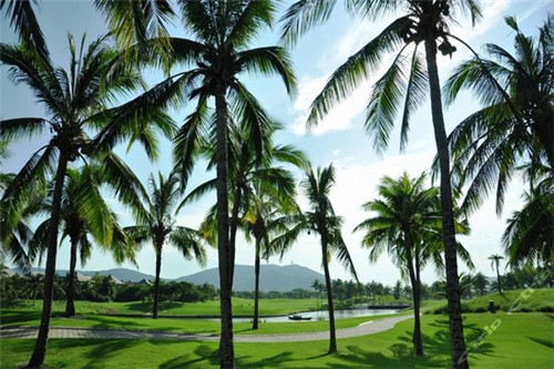 川香颂自选麻辣拌