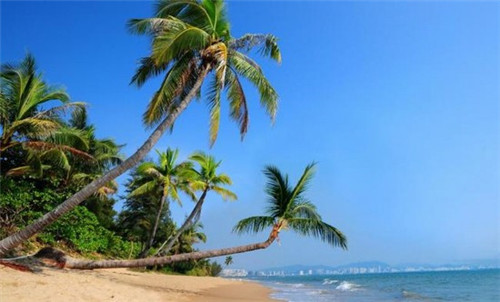 大牌牛雪花牛腩火锅