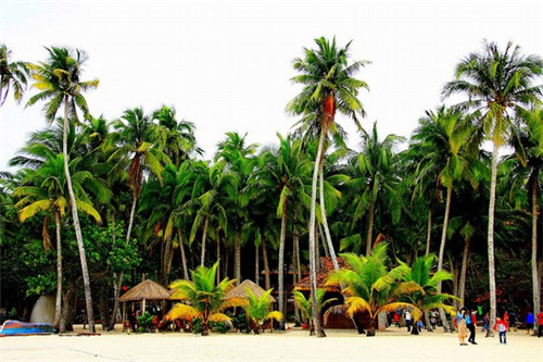 鱼密天使烤鱼饭