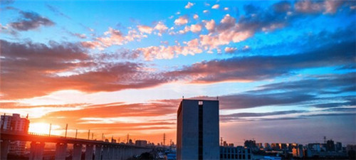 椒羞小姐酸菜鱼米饭