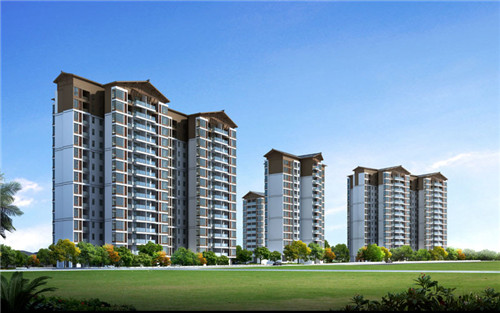 新西兰岩烧乳酪