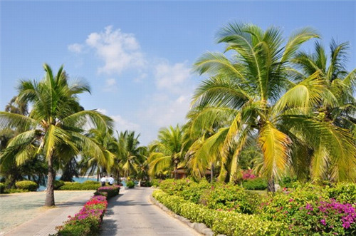 奶茶店必须位置好么，奶茶店开店位置