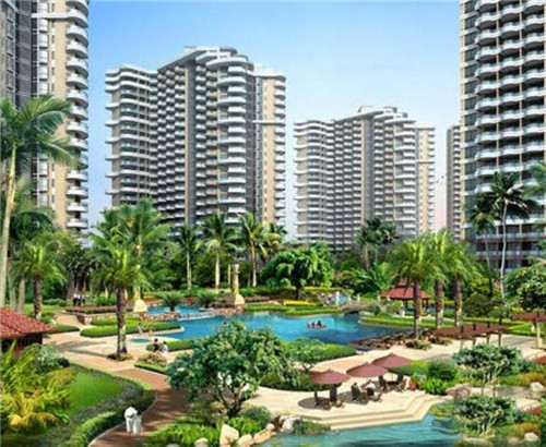 奶茶店放珍珠豆什么意思