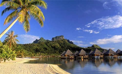 奶茶店为什么要做引流呢知乎，奶茶店为什么要做引流呢