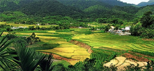 大厅里屏风隔断大全（大厅的屏风尺寸有讲究吗）